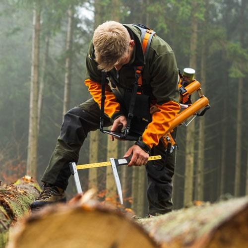 Förstgürtel für Förster mit Messkluppe bei der Holzaufnahme im Wald.