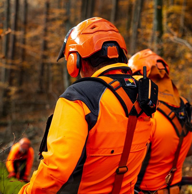 Forstwirtschaftsmeister-Ausbildung_Forstgürtel_Herbst_Fuegos_Holzfällen_Forst-Ausrüstung-min