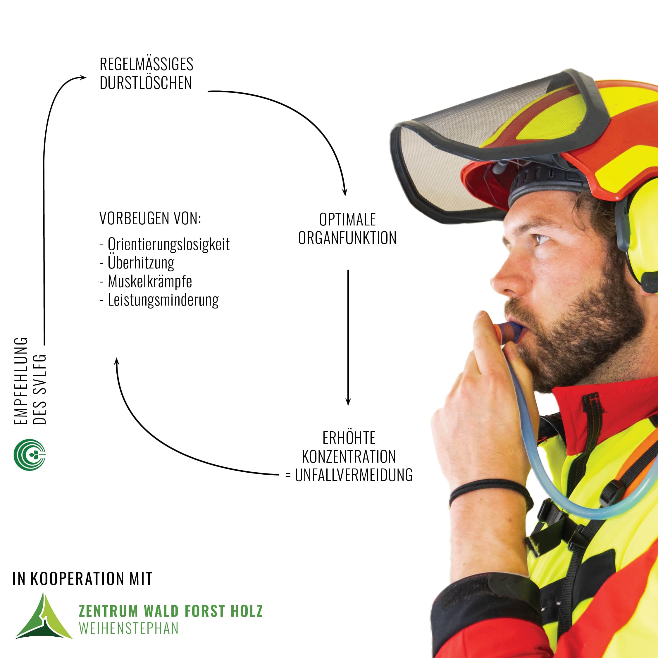 Pro Forstgürtel Set Armadillo-S4+ Fuegos Trinksystem