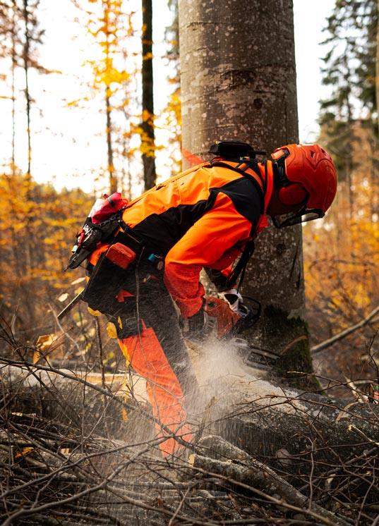 FORSTGÜRTEL-ONLINE-KAUFEN_Baumfaellen-mit-Husqvarna