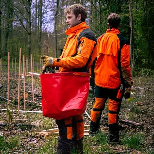 Zwei Forstwirte bei der Arbeit im Wald tragen ein rotes Pflanztasche Doppelpack mit Setzlingen, ideal für den Transport bei Aufforstungsarbeiten.